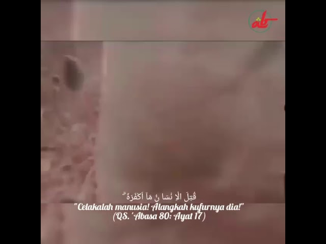 Pengaruh Nama Allah Al Kholiq dalam Proses Penciptaan Manusia